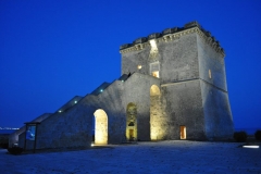 Torre_by_night